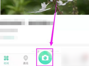 形色app如何识别花草树木