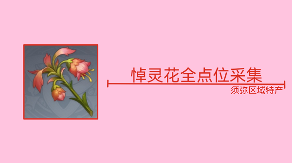 原神悼灵花位置分布图