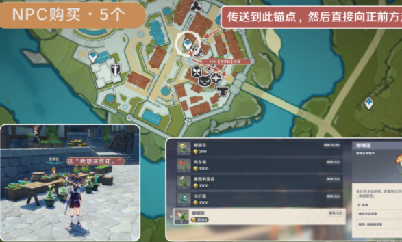 原神嘟嘟莲地图位置
