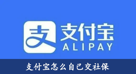 支付宝怎么自己交社保