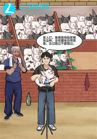 就挺秃然的直播卖猪通关攻略