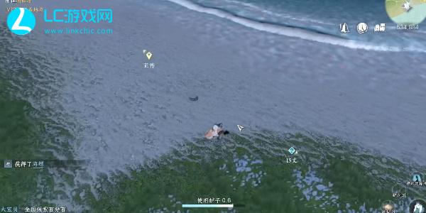 逆水寒手游赶海怎么玩