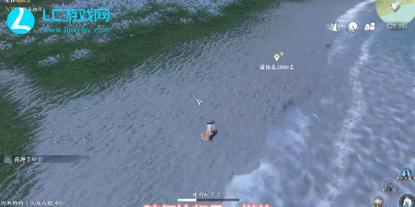 逆水寒手游赶海怎么玩