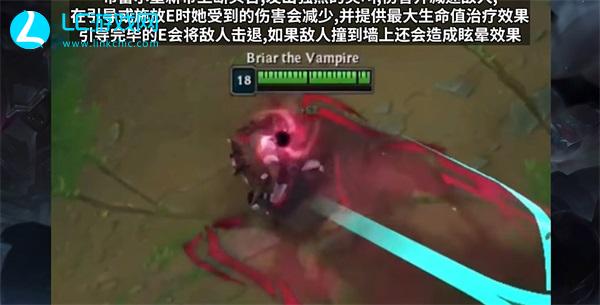 LOL新英雄布蕾尔技能是什么