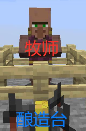 我的世界村民的职业方块有哪些