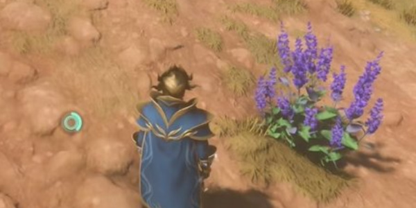 《雾锁王国》靛青植物怎么获得