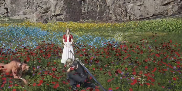 最终幻想7重生山丘上绽放的花在哪