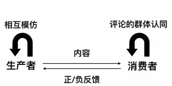 tikpic和tiktok什么区别