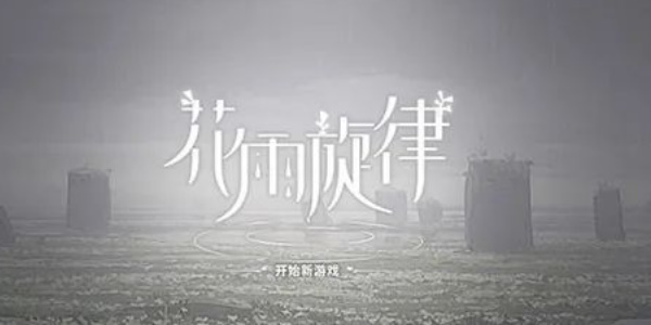 花雨旋律国际服