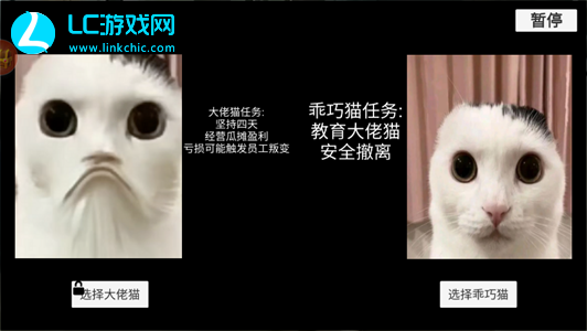 猫meme搞怪冒险