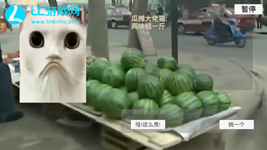 猫meme搞怪冒险