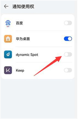 dynamicSpot