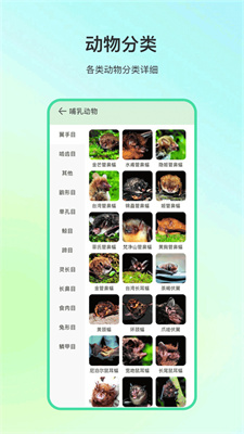 动物百科手机版