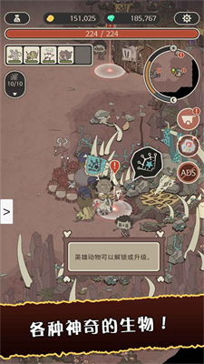 狂野驯兽师新纪元